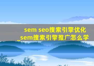 sem seo搜索引擎优化_sem搜索引擎推广怎么学